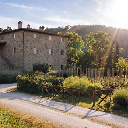 Cuprena Villa Arezzo Exterior photo