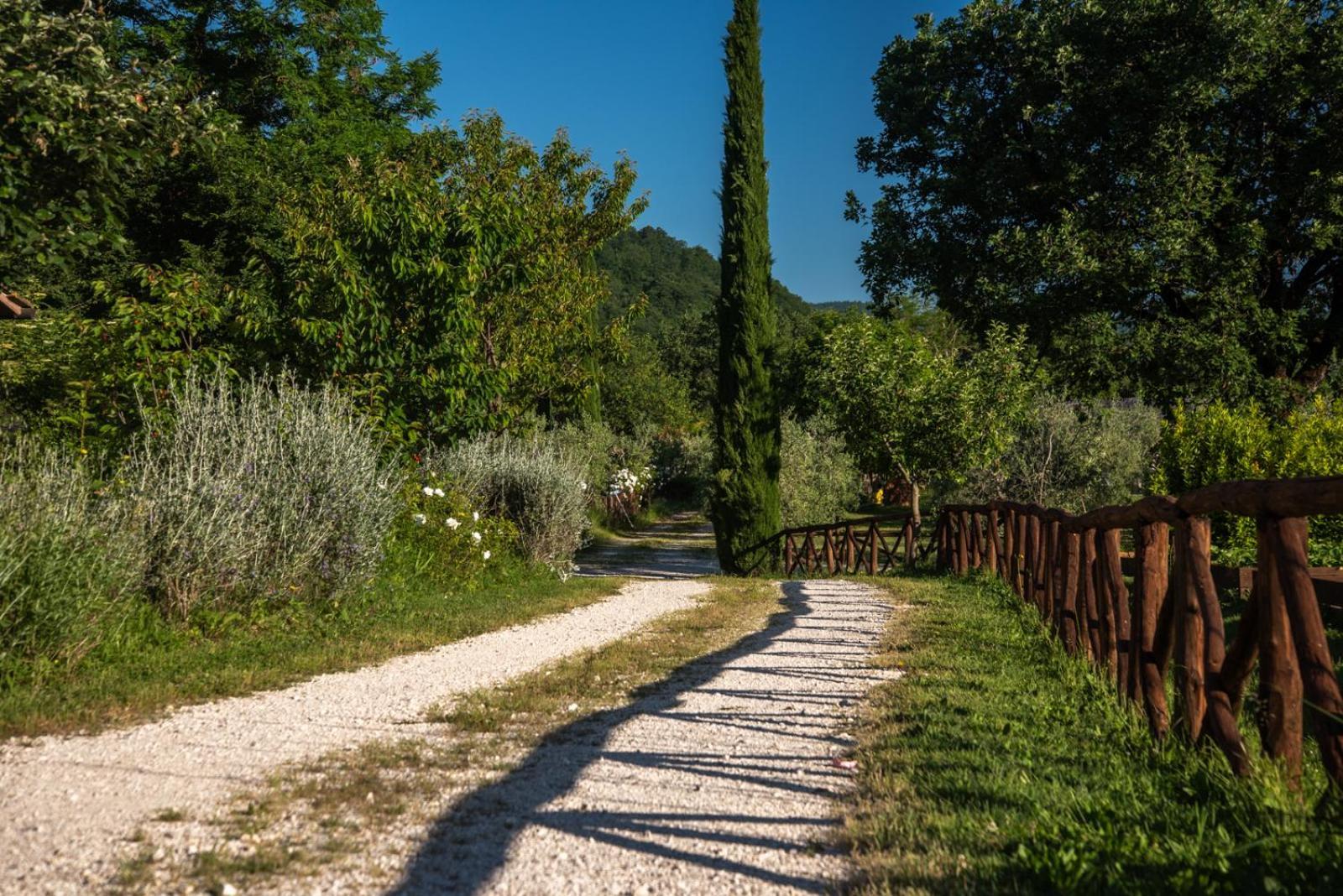 Cuprena Villa Arezzo Exterior photo